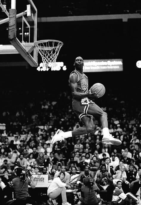 Michael Jordan Dunking, Michael Jordan Poster, Basketball Quotes Inspirational, Jordan Pictures, Michael Jordan Quotes, Michael Jordan Art, Jordan Quotes, Jordan Poster, Jordan Art