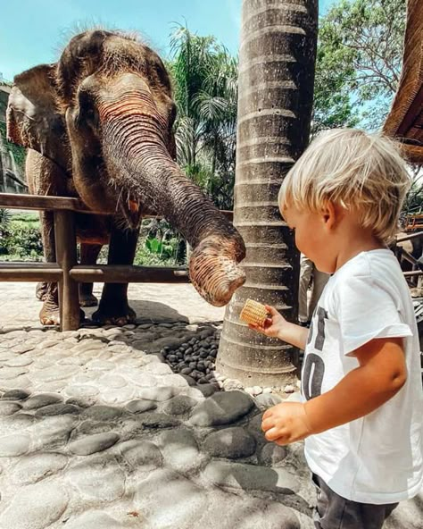 30 Absolutely Fun Things to Do in Bali with Kids in 2023 (TIPS INCLUDED) Dream Family Vacation, Family Trip To Bali, Bali Family Vacation, Thailand With Kids, Bali Map, Bali With Kids, Australia With Kids, 2025 Travel, Bali Waterfalls