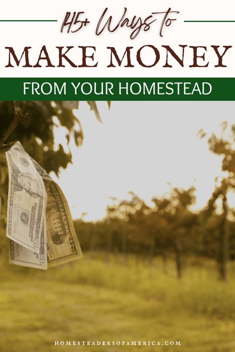 Check out the ULTIMATE homestead income ideas guide! Learn ways to make a profit from your small farm while being a service to your community. Profitable Small Farm Ideas, Small Farm Layout Ideas, Homestead Profit Ideas, Homesteading Business Ideas, Homestead Money Making Ideas, Profitable Homestead, Small Homestead Layout, Small Farm Ideas, Farm Store Ideas