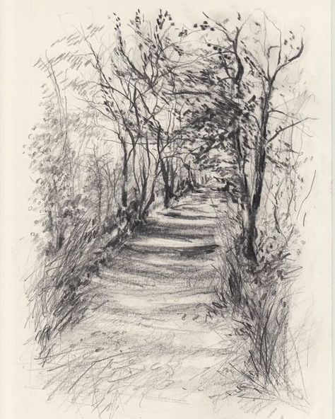 Claudia Lowry on Instagram: "Forest path no. 3 Graphite on paper, 21cm x 29.7cm. Latest drawing in my forest path series, available via the link to my webshop in my bio, or please do dm to enquire. With thanks 🌿 #drawingfromlife #contemporarydrawing #markmaking #forestdrawing #wintertrees #lightthroughthetrees #gesturalart #artistdrawing #drawingoninstagram #observationaldrawing #artforsale #expressivedrawing #graphitedrawing #beauxarts #sketch #artcontemporain #naturedrawing #graphitedrawing Forest Drawing Easy, Forest Sketch, Latest Drawing, Portraits Of People, Forest Drawing, Observational Drawing, Landscape Sketch, Forest Path, Nature Drawing