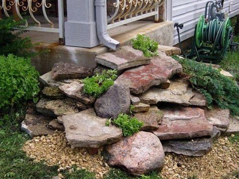 Downspout Ideas, Backyard Rock Garden, Downspout Drainage, Down Spout, Front Yard Garden Ideas, Landscape Drainage, Rock Garden Ideas, Yard Garden Ideas, Plant Room