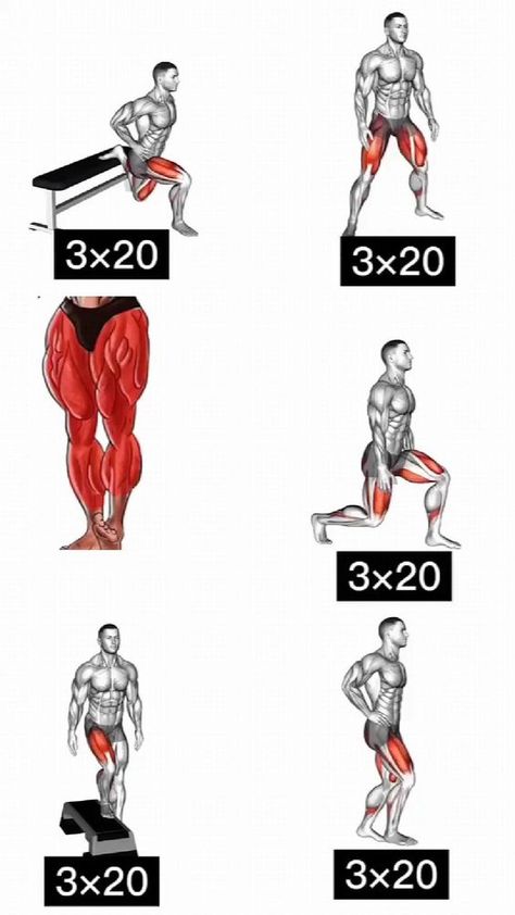 Leg Workouts For Men, Bodyweight Back Workout, Gym Workout Apps, Leg Workouts Gym, Gym Workout Guide, Workout Program Gym, Leg Workout At Home, Best Gym Workout, Full Body Workouts