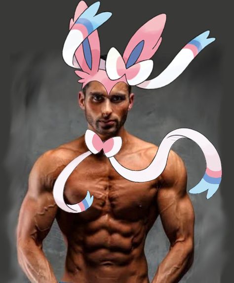 Male Sylveon, Sylveon Meme, Eeveelutions Pfp, Cursed Pokemon Images, Vapeon Pokemon, Human Eevee, Pokemon Villians, Espeon Pfp, Sylveon Pfp