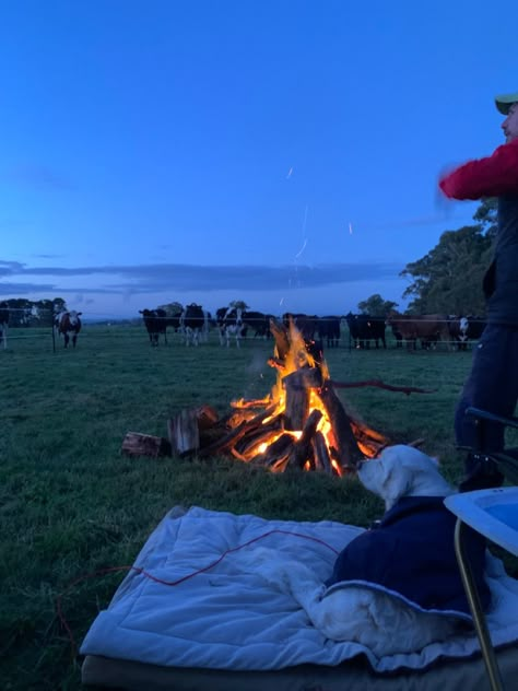 #country #countryside #cows #farm #farmlife #outdoors #australia #dogs #goldenretriever Montana Ranch Life Aesthetic, Montana Summer Aesthetic, Sidewalk Rule, Montana Ranch Aesthetic, Farm Aesthetic Country Living, Ranch Life Country Living, Ranch Life Aesthetic, Cows Farm, Australian Farm