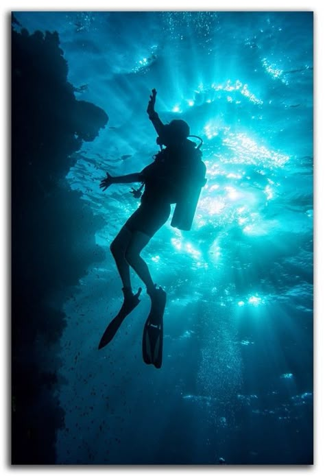 Diving Reference, Scuba Diving Tattoo, Aesthetic Composition, Diving Pictures, Scuba Diving Pictures, Scuba Diving Photography, Diving Photography, Cave Diving, Underwater Sea