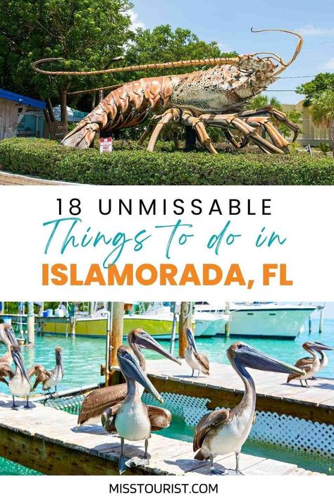 Things To Do In Islamorada Florida, Ismorada Florida, Islamorada Florida Things To Do, Islamadora Florida, Key West Florida Vacation, Florida National Parks, Florida Keys Road Trip, Florida Vacation Spots, Florida Trips