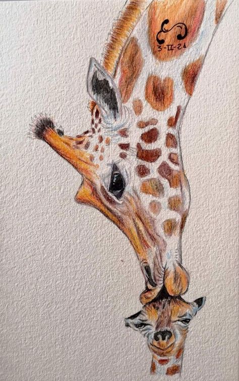 Giraffe Aesthetic Drawing, Giffafe Drawing, How To Paint A Giraffe, Girafe Drawings, Giraffe Drawing Realistic, How To Draw A Giraffe, Giraffe Painting Acrylic, Giraffe Drawings, Giraffe Paintings