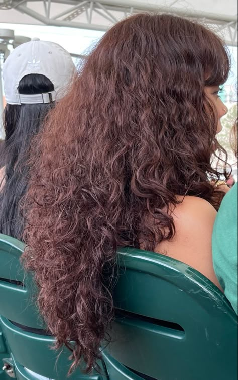 Red Curly Hair On Brown Skin, Dark Auburn Chocolate Hair, Brown With Red Undertones Curly Hair, Chocolate Brown Hair Red Highlights, Mahogany Hair Color On Curly Hair, Copper Burgundy Brown Hair, Cherry Brunette Curly Hair, Curly Mahogany Hair, Curly Hair Copper Brown