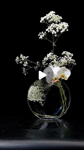 Point Of Life, Luxury Love, Furniture Architecture, Flowers White, White Orchids, Exotic Plants, Tiny Flowers, Pure Beauty, Ikebana