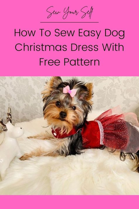 Patterns For Dog Clothes Free, Dog Christmas Outfit Diy, Dog Christmas Costumes Diy, Dog Dress Pattern Free How To Make, Dog Dress Pattern Free, How To Make Dog Clothes Diy, Diy Dog Clothes Pattern, Dog Clothes Patterns Free Printable, Simple Christmas Dress