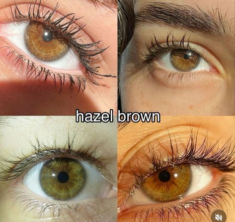 Color Hair Brown, Hazel Eyes Hair Color, Honey Brown Eyes, Brown Hazel Eyes, Brown Eye Quotes, Olive Green Eyes, Pretty Eyes Color, Hazel Brown Eyes, Rare Eye Colors