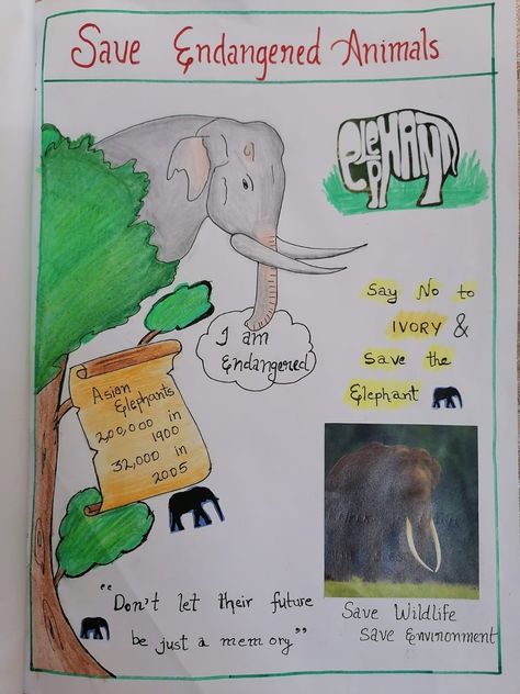 Endangered Animals Craft, Poster On Endangered Animals, Endangered Animals Poster Project, Save Endangered Animals Poster, Save The Animals Poster, Poster On Wildlife Conservation, Save Wildlife Poster Painting, Wildlife Conservation Poster, Save Wildlife Poster Ideas