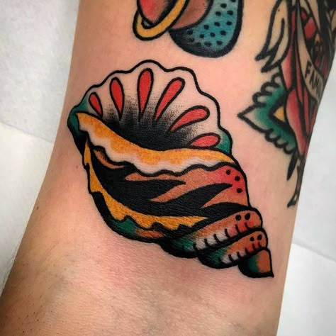 Nautical Tattoo Filler, American Traditional Sea Shell Tattoo, American Traditional Ocean Tattoo, Traditional Shell Tattoo, Traditional Fish Tattoo, Tattoo Shell, Traditional Nautical Tattoo, Traditional Tattoo Artwork, Lobster Tattoo