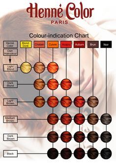 Colour indication Chart to give an idea on the resulting colour Hair Dye Color Chart, How To Apply Henna, Blonde Hair Bangs, Diy Highlights Hair, Hair Chart, Tattoos About Growth, Henna Hair Color, Henna Color, Noir Color