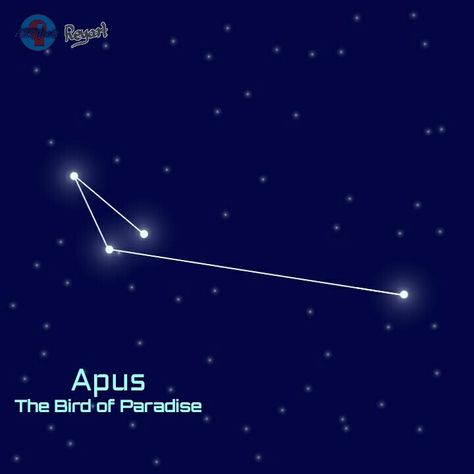 Apus "The Bird of Paradise" Apus Constellation, Genshin Oc Ideas, Constellation Drawing, Astronomy Constellations, Genshin Oc, Constellation Tattoos, Audio Music, Star Children, Comic Drawing