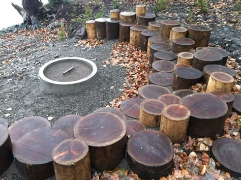 A great way to use a tree, if you HAVE to cut one down. Also, firepit. Tree Stump Seating Ideas, Tree Stump Wall Decor, Wooden Stump Seating, Tree Stump Seating, Stump Seating, Stump Seats, Stump Fire Pit, Log Seating, Log Seats