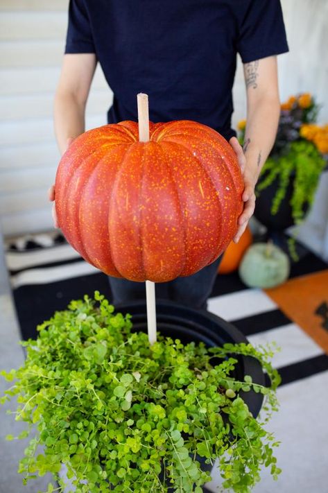 Creative Planter Ideas, Halloween Decor Diy, Creative Planter, Image Halloween, Pumpkin Topiary, Fall Front Porch Decor, Garden Wallpaper, Halloween Porch Decorations, Halloween Tattoo