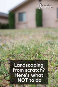 How To Start Landscaping Backyard, Landscaping Shaded Front Yard, How To Start Landscaping Front Yard, How To Do Landscaping, New Build Backyard Landscaping Ideas, Front Door Garden Ideas Landscaping, Dessert Landscape Front Yard, Zone 7 Landscaping Front Yards, Zone 7 Landscaping