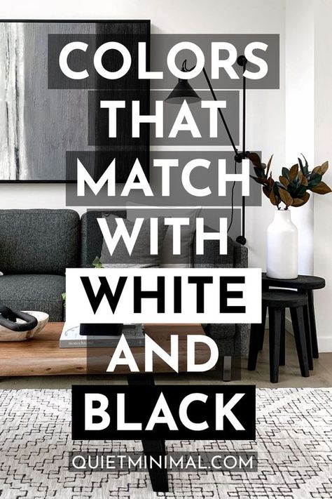 White Room Grey Accent Wall, White Walls Grey Furniture Living Room, Black And White Room With Accent Color, Black And White Living Room With Pops Of Color, White Living Room Black Furniture, White Home With Black Accents, Black White House Interior Design, Black And White Bathroom Accents, Grey Black And White Living Room Ideas Color Schemes