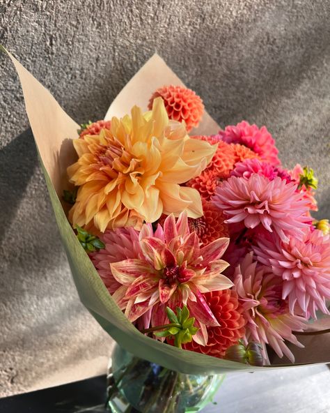 Make your home and garden magical with dahlias! 💫 #Dahlias #dalijas #percdalijas Dahlias Flower Arrangements, Dahlia And Lily Bouquet, Dahlia Flowers Wedding, Daliah Bouquet, Wedding Flowers Dahlia, Feverfew Bouquet, Dahlia Aesthetic, Dahlia Flower Bouquet, Dahlias Bouquet