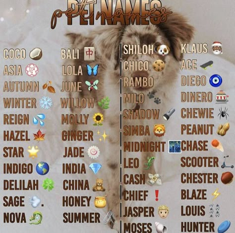 Aesthetic Names For Pets, Baddie Dog Names, Pets To Have, Cutest Puppy Names, Adopt Me Names For Pets, Aesthetic Adopt Me Pet Names, Preppy Adopt Me Pet Names, Cute Names For Stuffed Animals, Unique Animal Names