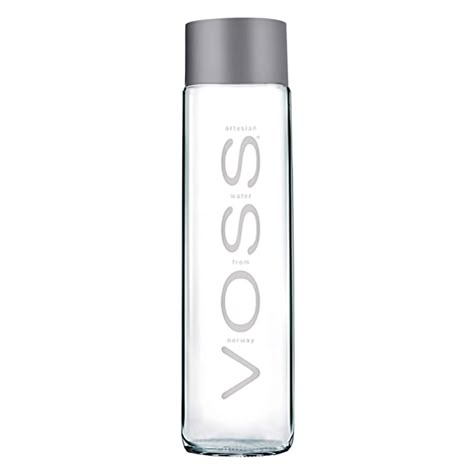 Voss Artesian Still Water, 375 ml 12.7 oz Glass: Amazon.com: Grocery & Gourmet Food Agua Voss, Voss Water Bottle, Voss Water, Water Still, Unrealistic Wishlist, Sun Bum, Divine Timing, Taste Made, Daily Bag