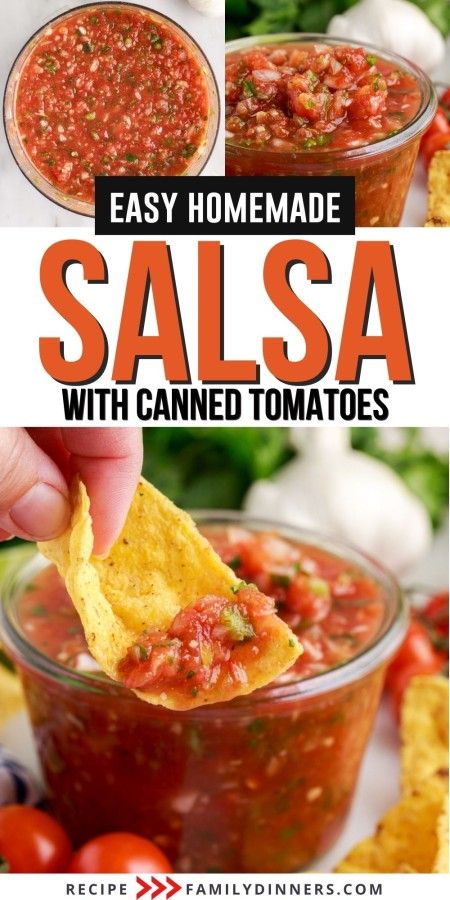 Quick Salsa Canned Tomatoes, Easy Salsa With Canned Tomatoes, Salsa Made From Canned Tomatoes, Can Salsa Recipe, Rotel Salsa Recipe Easy, Canning Salsa With Canned Tomatoes, Easy Homemade Salsa With Canned Tomatoes, Salsa With Canned Tomatoes Recipes, Salsa With Rotel Tomatoes