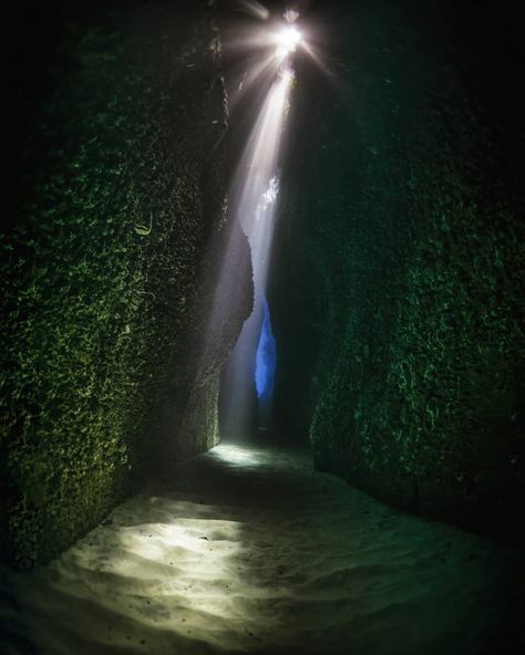 Pavlos Evangelidis on Instagram: “Underwater Cathedral 2/3. . This one is my favourite. . Leru Cut, Solomon Islands 🇸🇧, is one of my top divesites in the world. It is an…” Solomon Islands, Road, Water, Instagram