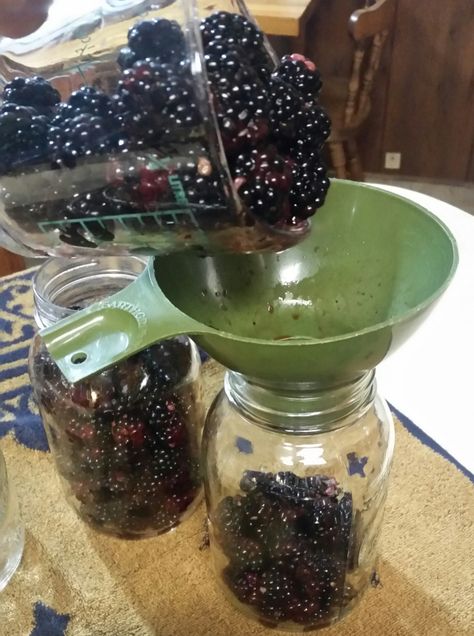 Canning Blackberries in Blackberry Sauce for Cobblers, Sonkers and Dumplings – Preserving the Good Life Canning Blackberries, Blackberry Dumplings, Homestead Canning, Blackberry Sauce, Preserving Foods, Pressure Canning Recipes, Canning Kitchen, Canning Fruit, Canning Pickles