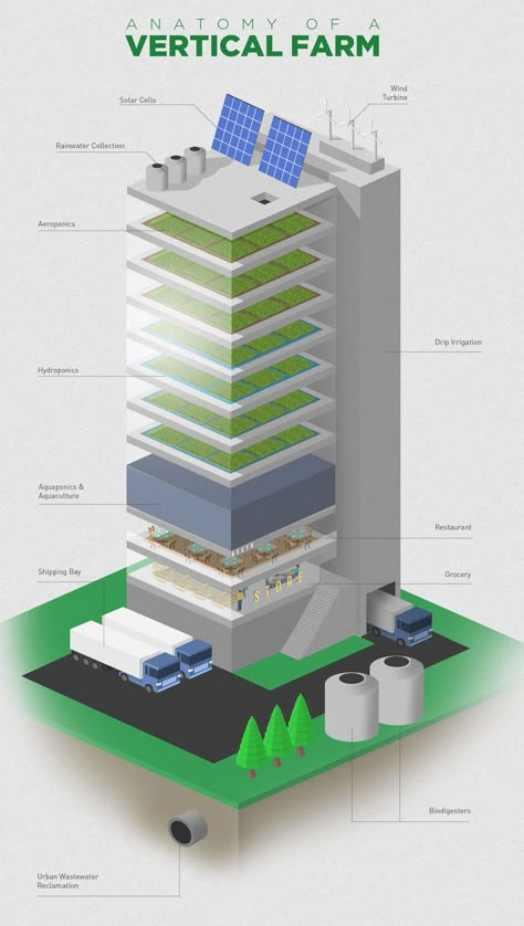 Vertical Farming Architecture, Farming Infographic, Urban Farming Architecture, Farming Architecture, Sustainable Farm, Farming Technology, Fresh Fruit And Vegetables, Smart Farm, Indoor Farming