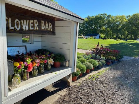 How to Design a Roadside Flower Stand — Lynsey Taulbee Roadside Flower Stand, Creative Display Ideas, Roadside Stand, Cut Flower Farm, Old Ladder, Flower Farmer, Farm Fresh Eggs, Creative Display, Farm Stand