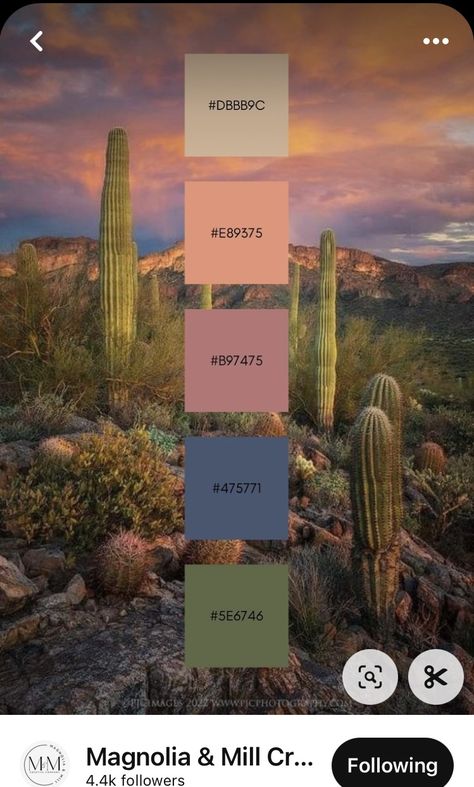 Colorful Ranch Interior, Boho Sunset Color Palette, Oklahoma Color Palette, Desert Theme Color Palette, Arizona Color Palette Southwest Style, Purple Desert Color Palette, Baja Color Palette, Southwest Sunset Color Palette, Desert Landscape Color Palette