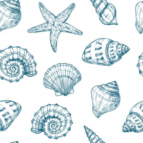 Marine Illustration Ocean, Sea Shell Drawing, Ocean Vector, Seashell Drawing, Nautical Background, Grass Drawing, Ocean Texture, Shell Drawing, Sketch Background