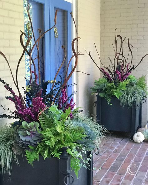 container gardening — Blog: Container Gardening Tips & Inspiration — Contained Creations Fall Containers Planters, Winter Planter Ideas, Fall Flower Pots, Fall Container Plants, Fall Pots, Fall Window Boxes, Ideas For Front Porch, Fall Container Gardens, Spring Planter