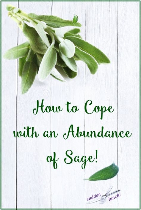 Sage Ideas, Freeze Herbs, Sage Plants, Herb Ideas, Preserve Fresh Herbs, Dry Sage, Freezing Recipes, Herb Uses, Sage And Onion Stuffing