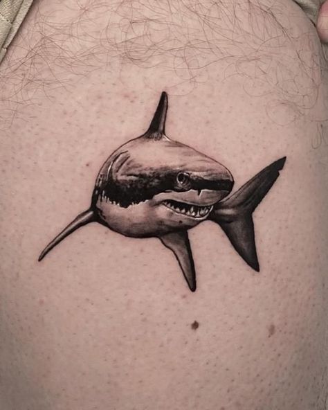 Get ready to dive into the world of shark tattoos and discover their unique symbolism and style. We invite you to learn more about their meaning, as well as choose a design that's right for you. Scary Shark Tattoo, Great White Shark Tattoo Ideas, Great White Shark Tattoo Realistic, Unique Shark Tattoo, Great White Tattoo Shark, Shark Tattoos Men, Shark Tattoo For Men, Shark Tattoo Arm, Shark Leg Tattoo