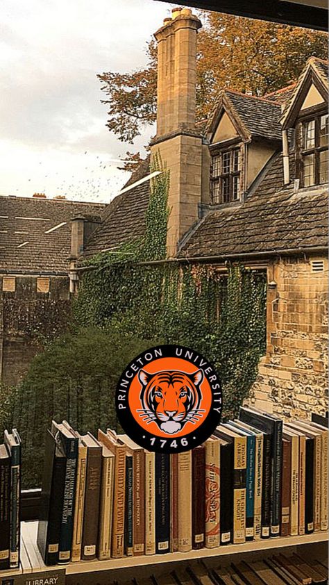 Princeton University Aesthetic Campus, Prinston University Aesthetic, Princeton University Wallpaper, Princeton Wallpaper, Prinston University, Princeton Dorm, Princeton Aesthetic, Princeton University Aesthetic, Ivy University