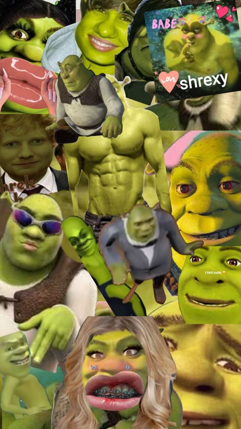 Shrek Pics, Shrek Pictures, Shrek Aesthetic Cute, Shrek Aesthetic, Funny Shrek, Shrek Funny, Im Love, Shrek Memes, Food Collage