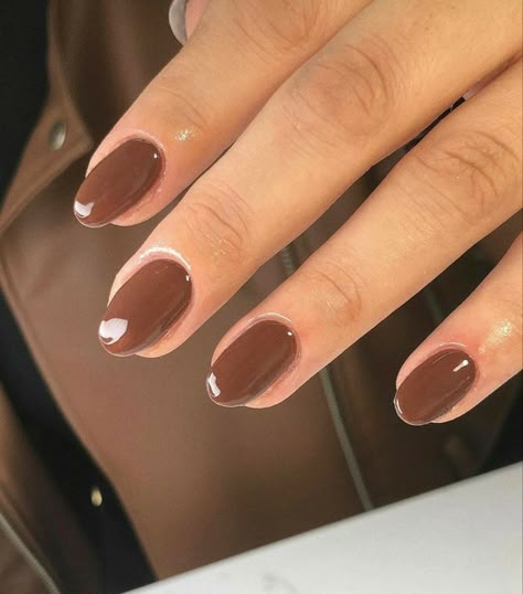 Short Sns Nails Fall, Short Oval Brown Nails, Fall Nail Ideas Brown, Fall Short Round Nails, Short Round Brown Nails, Short Almond Brown Nails, Brown Nail Aesthetic, Short Almond Dip Nails Fall, Brown Biab Nails