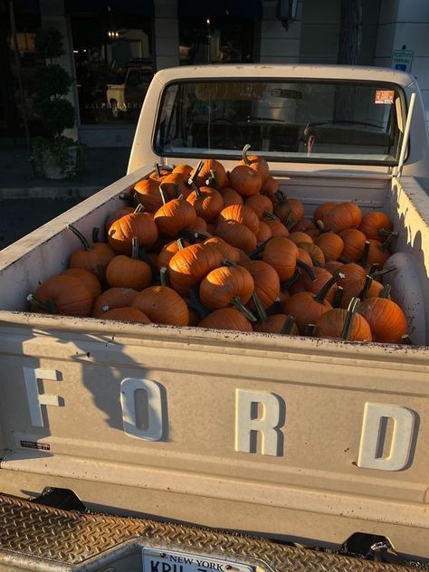 Fall Mood Board, Anna Karina, Wallpaper Halloween, Jeanne Damas, Pumpkin Spice Season, Fall Inspo, Fall Feels, Fall Pictures, We Fall In Love