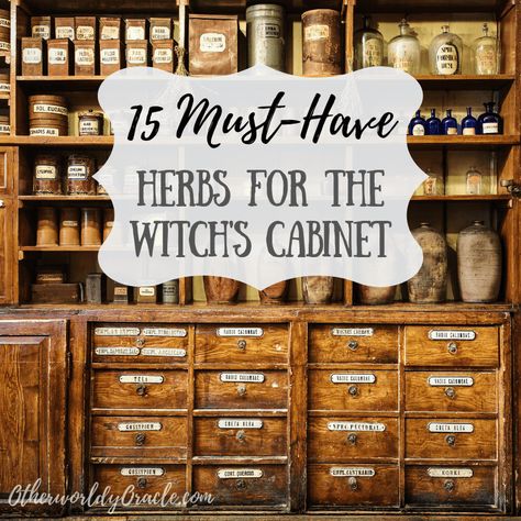 15 MUST-HAVE Herbs for the Witch's Herb Cabinet Must Have Witch Herbs, Witches Herb Cabinet, Witch Herb Cabinet, Herbs Every Witch Should Have, Kitchen Witch Herbs And Spices, Must Have Herbs For Witches, Witch’s Apothecary, Witch Apothecary Cabinet Diy, Witches Apothecary Cabinet