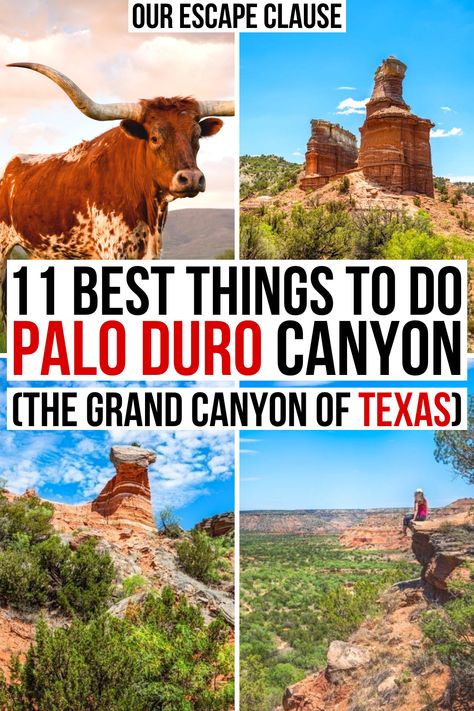 Planning to visit Palo Duro Canyon? Here's what you need to know about the Grand Canyon of Texas!  things to do in palo duro canyon state park | hiking in palo duro canyon | lighthouse trail palo duro canyon | best hikes palo duro canyon in texas | texas travel guide | places to visit in texas | things to do in amarillo | amarillo travel guide | amarillo vacation | things to do on route 66 texas | route 66 amarillo texas road trip | route 66 road trip stops | palo duro canyon lighthouse Grand Canyon Road Trip From Texas, Pablo Duro Canyon, Palo Duro Canyon State Park, Cashew Queso, Canyon Texas, Party Cooler, Texas Travel Guide, Texas Adventure, Texas State Parks