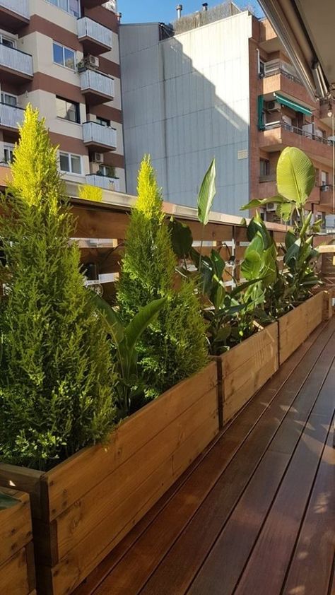 Balcony Planter Boxes, Outside Planters, Raised Garden Bed Plans, Balcony Planters, Rooftop Terrace Design, Balcony Plants, Patio Interior, Terrace Design, House Plants Decor