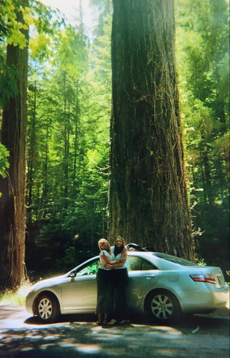 California Forest Aesthetic, Redwood National Park Aesthetic, Pacific Northwest Roadtrip, National Parks Road Trip Aesthetic, Redwood Vacation, Save Up For A Car, Pch Roadtrip, Pnw Roadtrip, Pacific Northwest Aesthetic