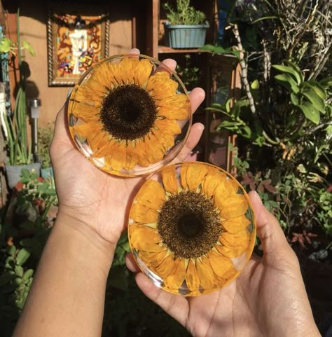 Preserved sunflower on resin Sunflowers In Resin, Sunflower Resin Coaster, Preserving Sunflowers, Sunflower Resin Art, Preserve Sunflowers, Green House Garden, Sunflower Coaster, Dried Sunflowers, Epoxy Coasters