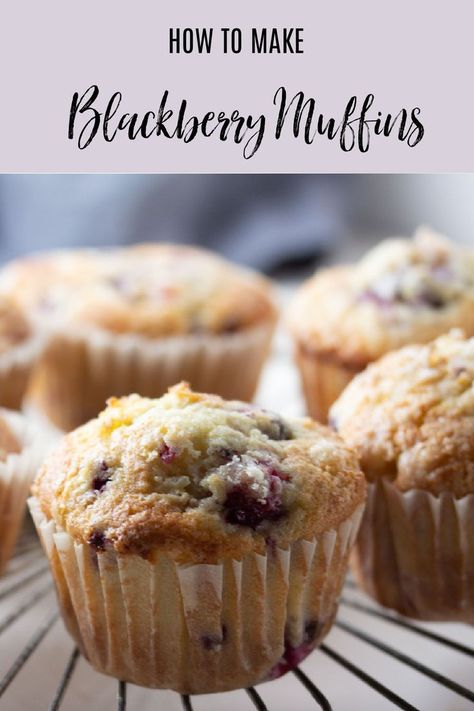 blackberry muffins on a round cooling rack. Small Batch Blackberry Recipes, Black Raspberry Muffins, Blackberry Muffin Recipe, Easy Weekend Breakfast, Mixed Berry Muffins, Blackberry Muffins, Small Batch Desserts, Blackberry Muffin, Small Batch Recipes