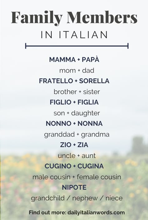 Here is a list of the most important family members in the Italian language! Find out more about the word 'family' at dailyitalianwords.com. #italian #italiano #italianlanguage #italianlessons Italian Last Names Families, Basic Italian Words, Learn Italian Language Beginner, Italian Language Learning Basic, Cool Italian Words, Words In Italian, Definite And Indefinite Articles, Indefinite Articles, Italian Things