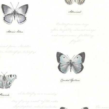 Brewster Admiral Black Butterflies And Script Wallpaper Script Wallpaper, Black And White Butterflies, Bath Wallpaper, Matte Black Background, Majestic Landscape, Black Butterflies, Wallpaper Black And White, Brewster Wallpaper, White Butterflies