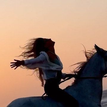 Horse Sunset, Equestrian Aesthetic, Sunset Time, Horse Aesthetic, Horse Life, Horse Photography, Horse Love, Sunset Beach, Horse Girl