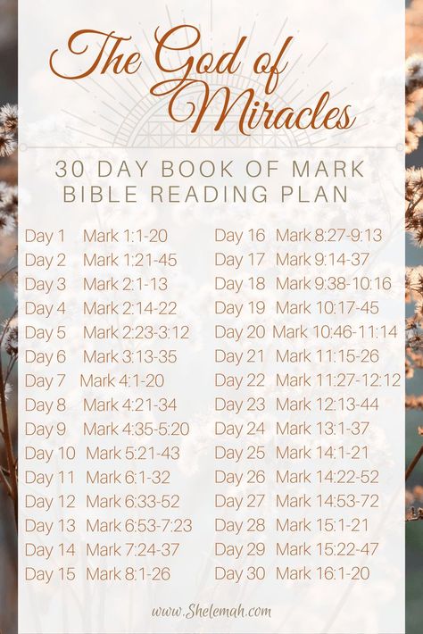 The God of miracles 30 day Bible study reading plan through the book of Mark God Of Miracles, Mark Bible, Pray For Healing, Bible Reading Plans, Scripture Writing Plans, Writing Plan, Scripture Writing, Bible Study Plans, Bible Challenge